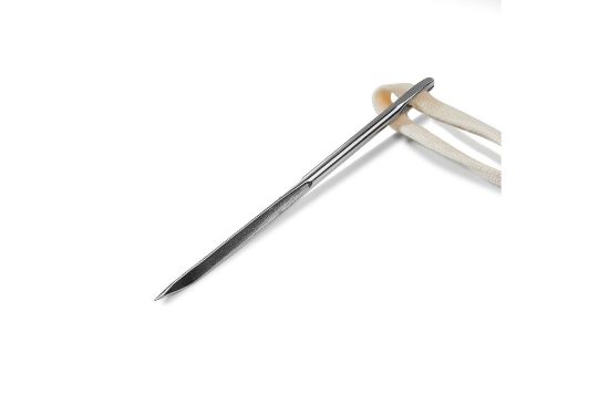 Picture of Pocket Needle